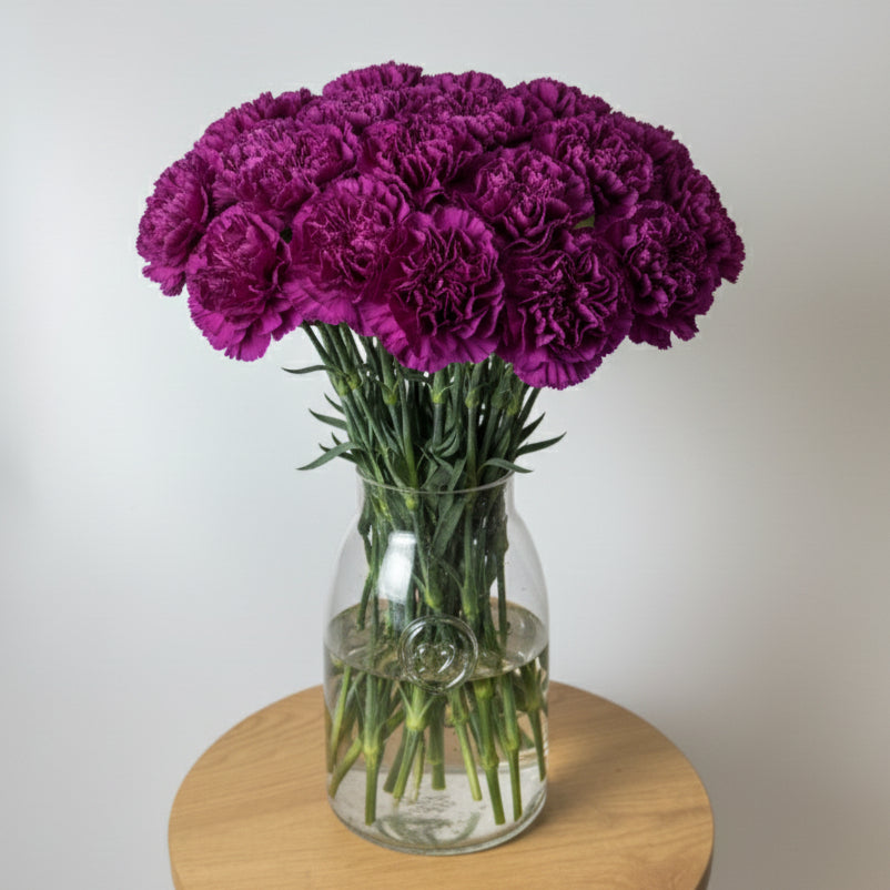 Purple Carnation Bunch image 0