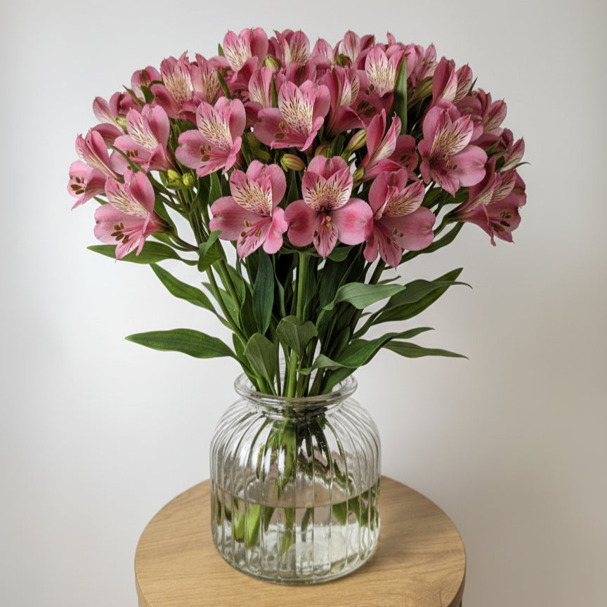 Pink Alstroemeria Bunch image 0