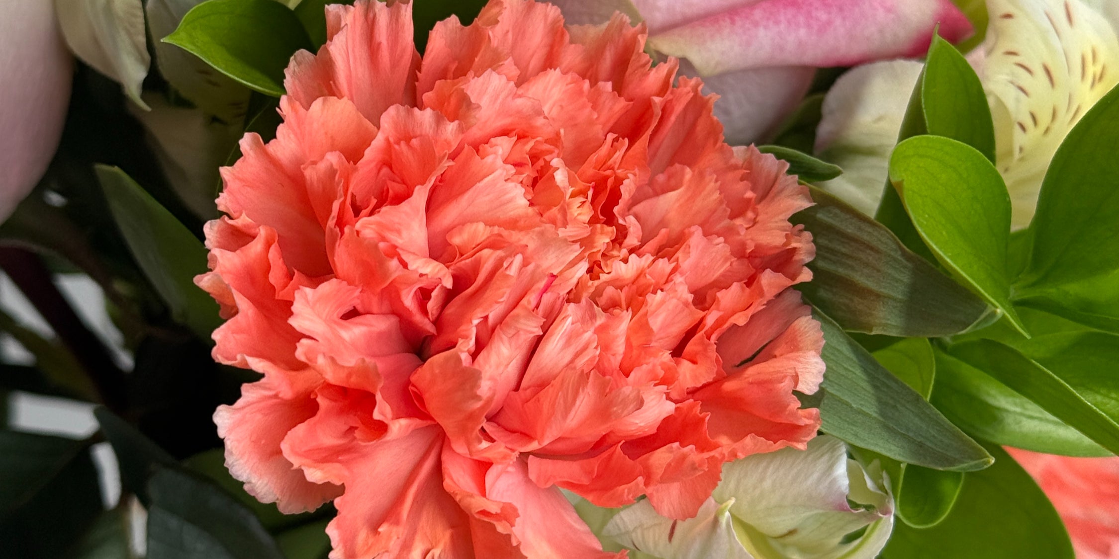 0f60b0 b3b6f61872f2497cb9394ed3298baf64 mv2