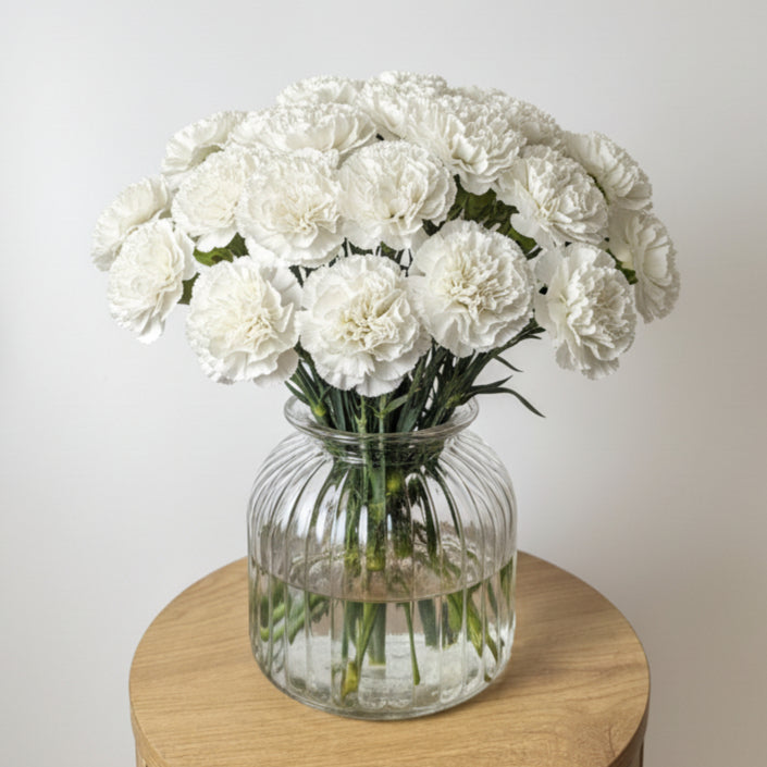 White Carnation Bunch image 0