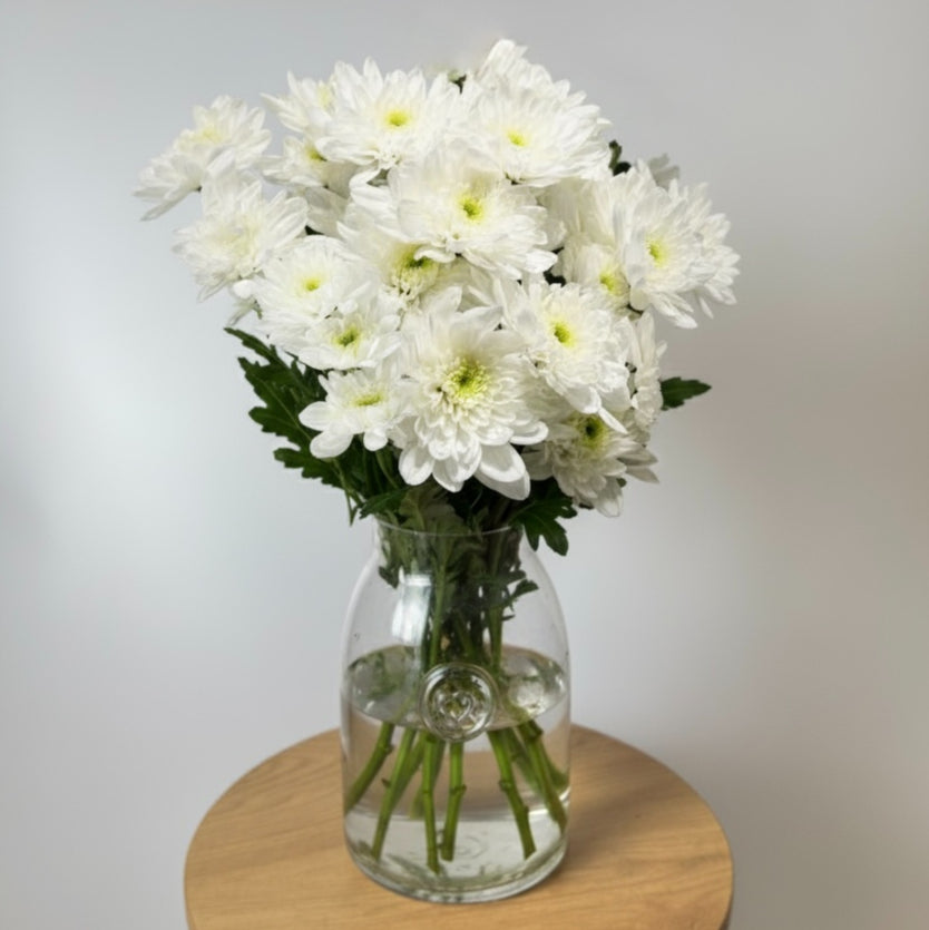 White Chrysanthemum Bunch image 0