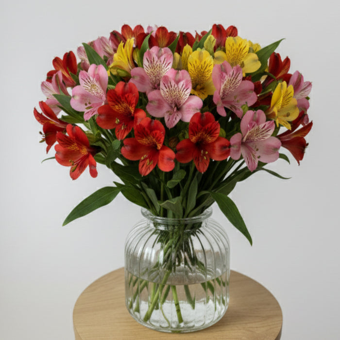 Mixed Alstroemeria Bunch image 0