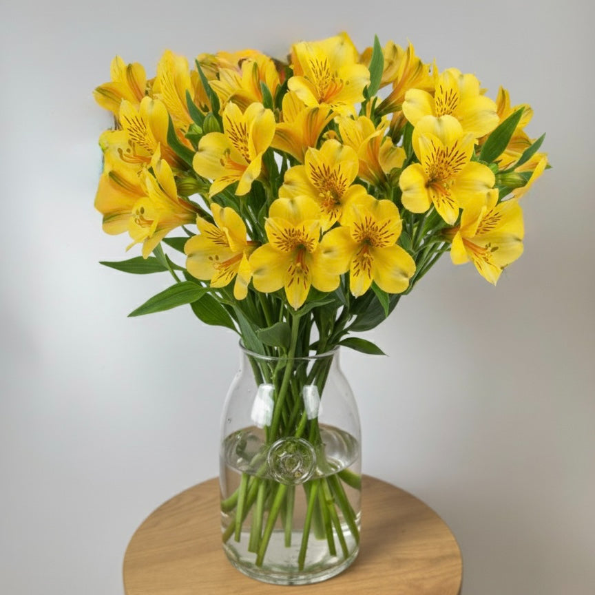 Yellow Alstroemeria Bunch image 0