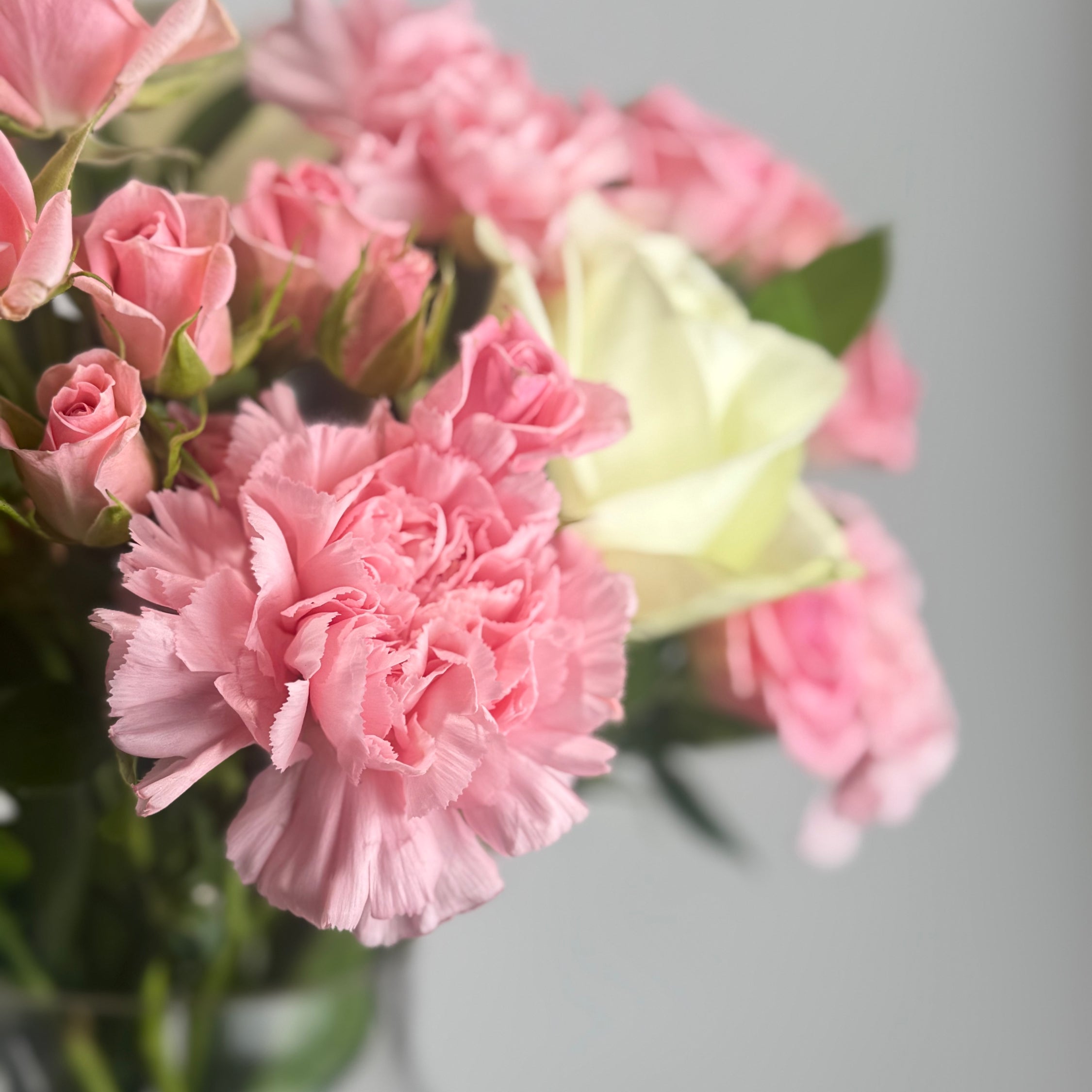 Rosé de Blush image 1