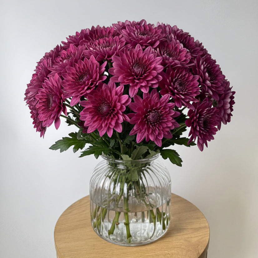 Pink Chrysanthemum Bunch image 0