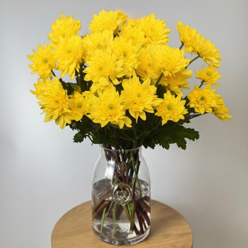 Yellow Chrysanthemum Bunch image 0