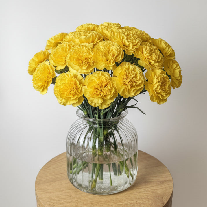 Yellow Carnation Bunch image 0