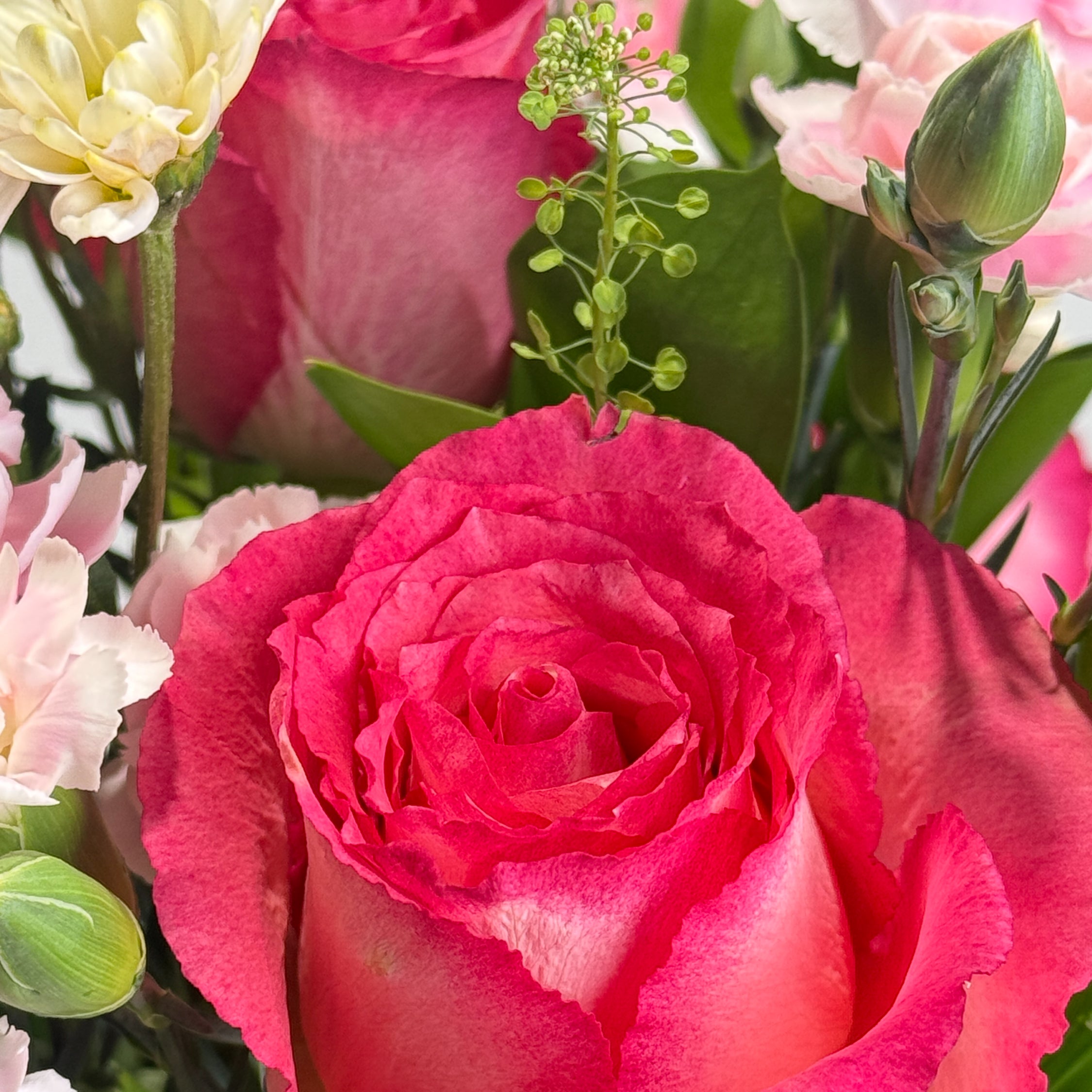 Bloom Theory image 1