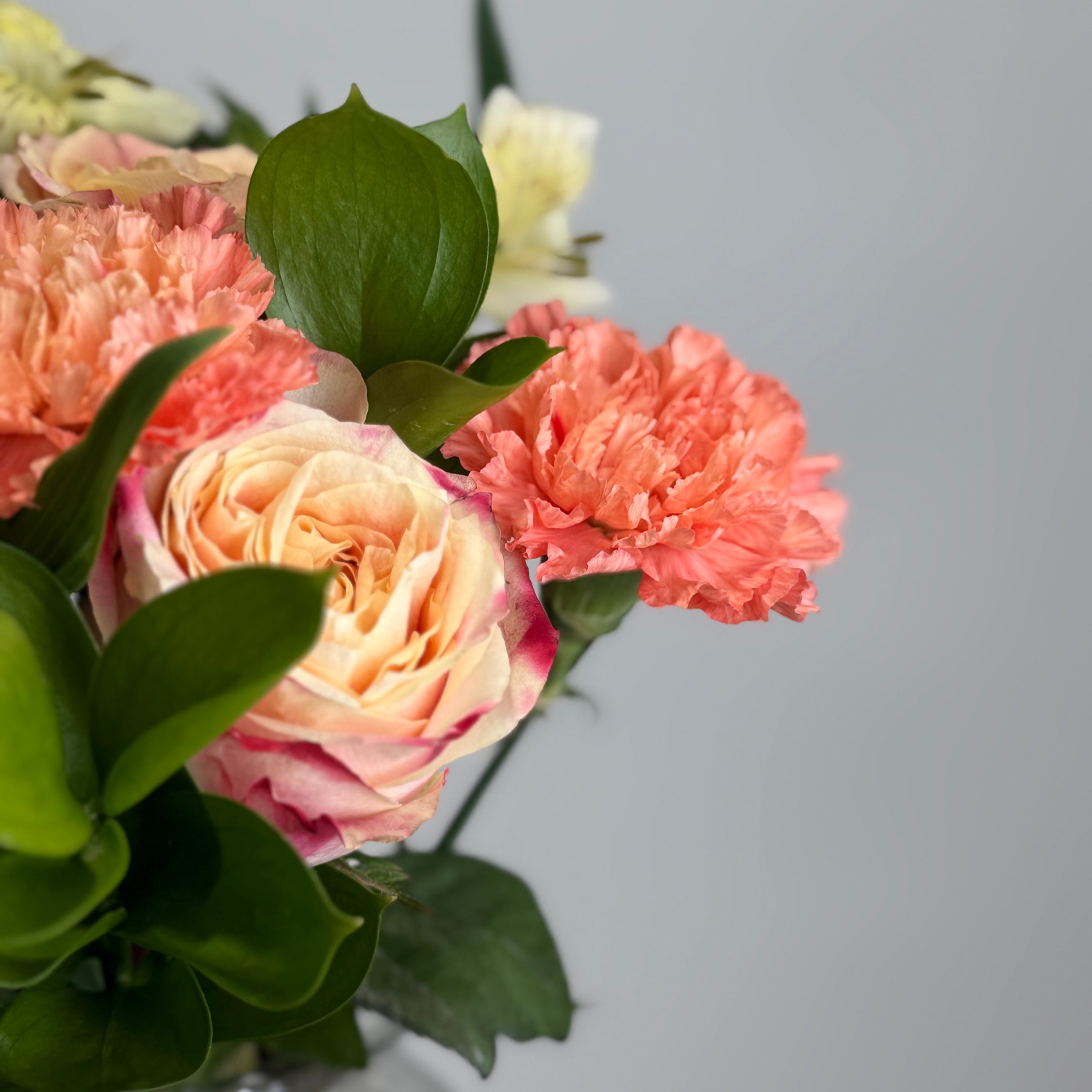 Tutti Frutti image 4