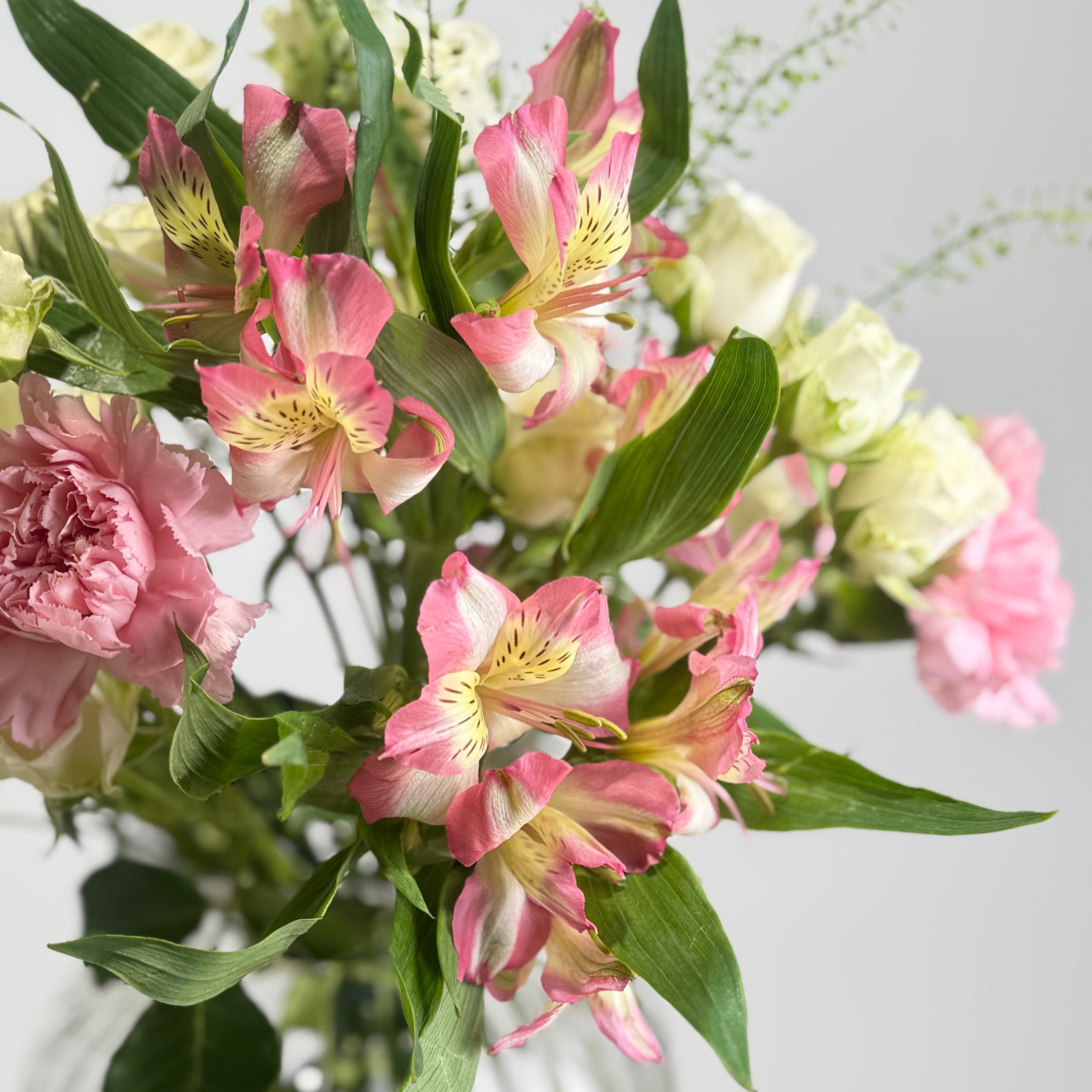 AURA Botanica image 3