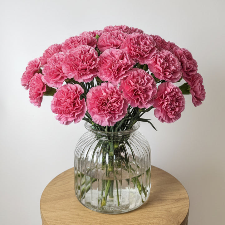Pink Carnation Bunch image 0