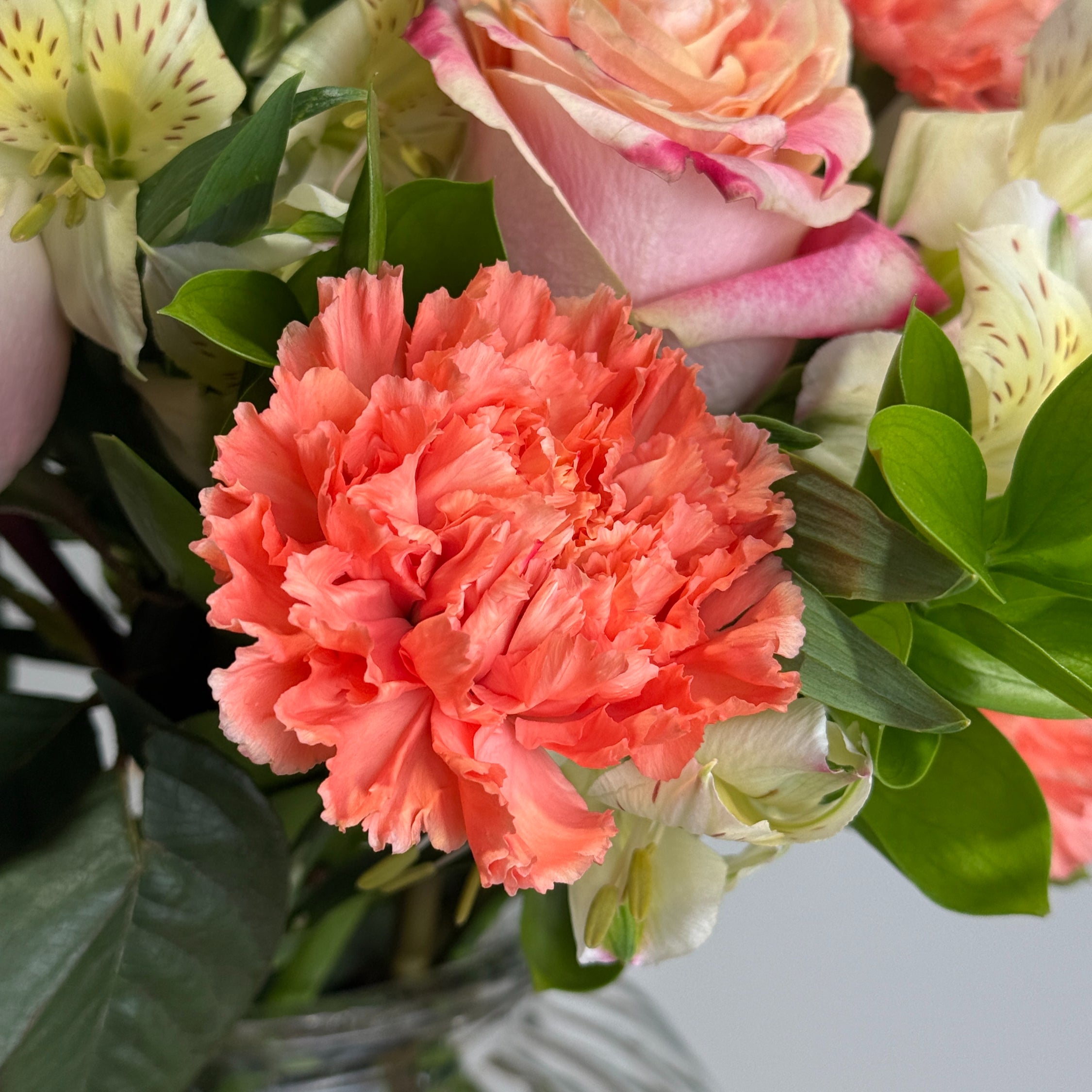 0f60b0 b3b6f61872f2497cb9394ed3298baf64 mv2