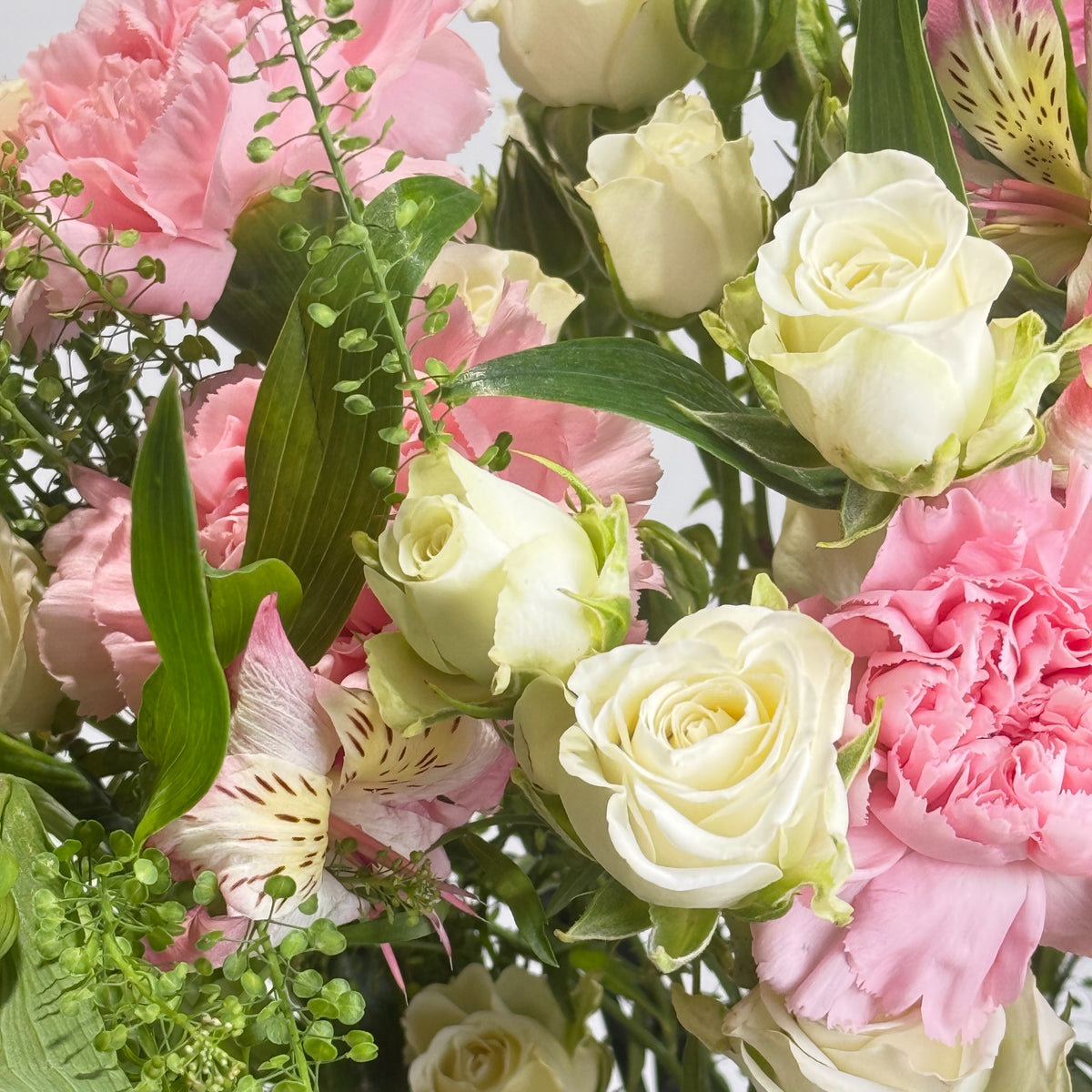 AURA Botanica image 1