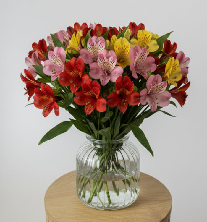 Mixed Alstroemeria Bunch image 0