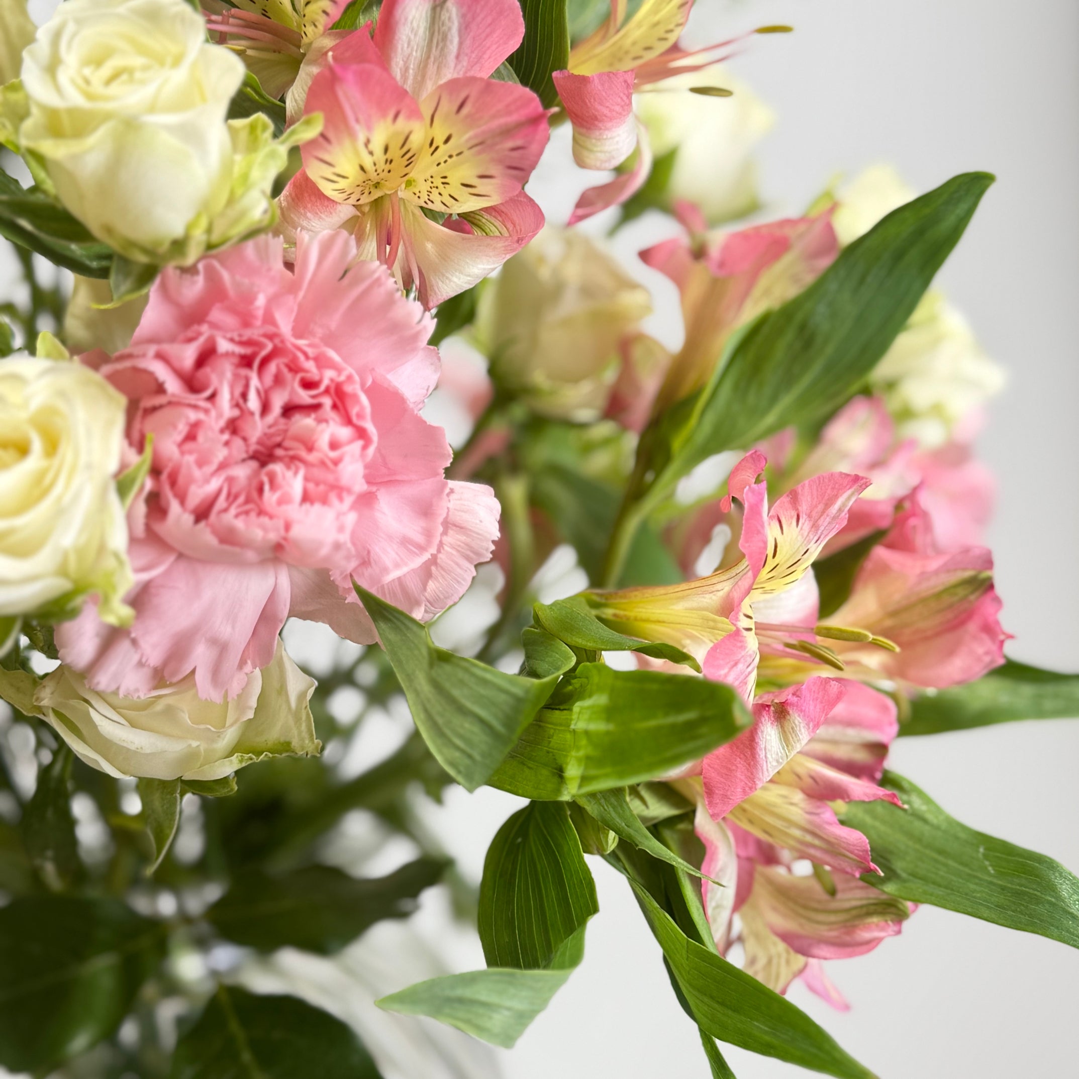 AURA Botanica image 2 thumbnail