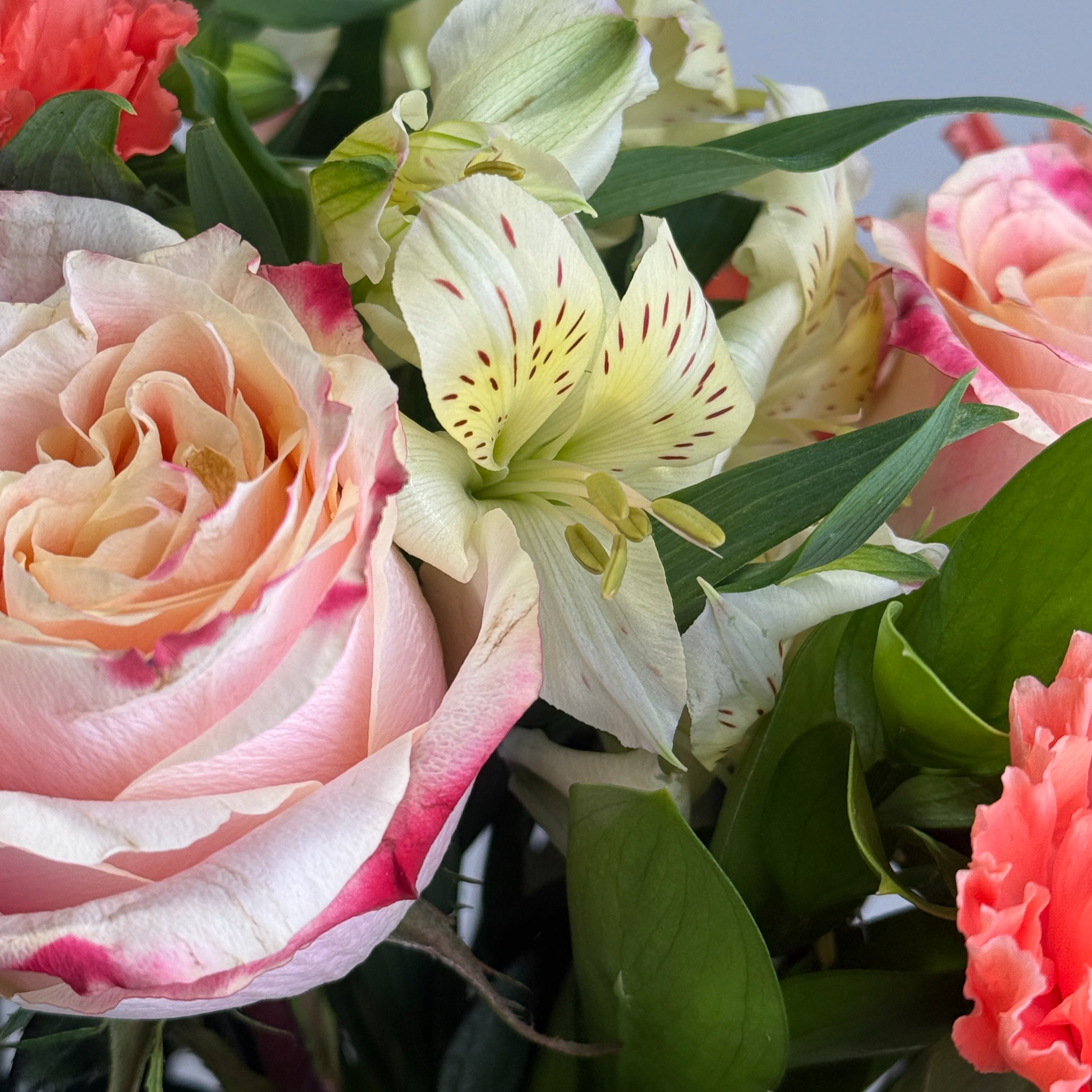 Tutti Frutti image 3 thumbnail