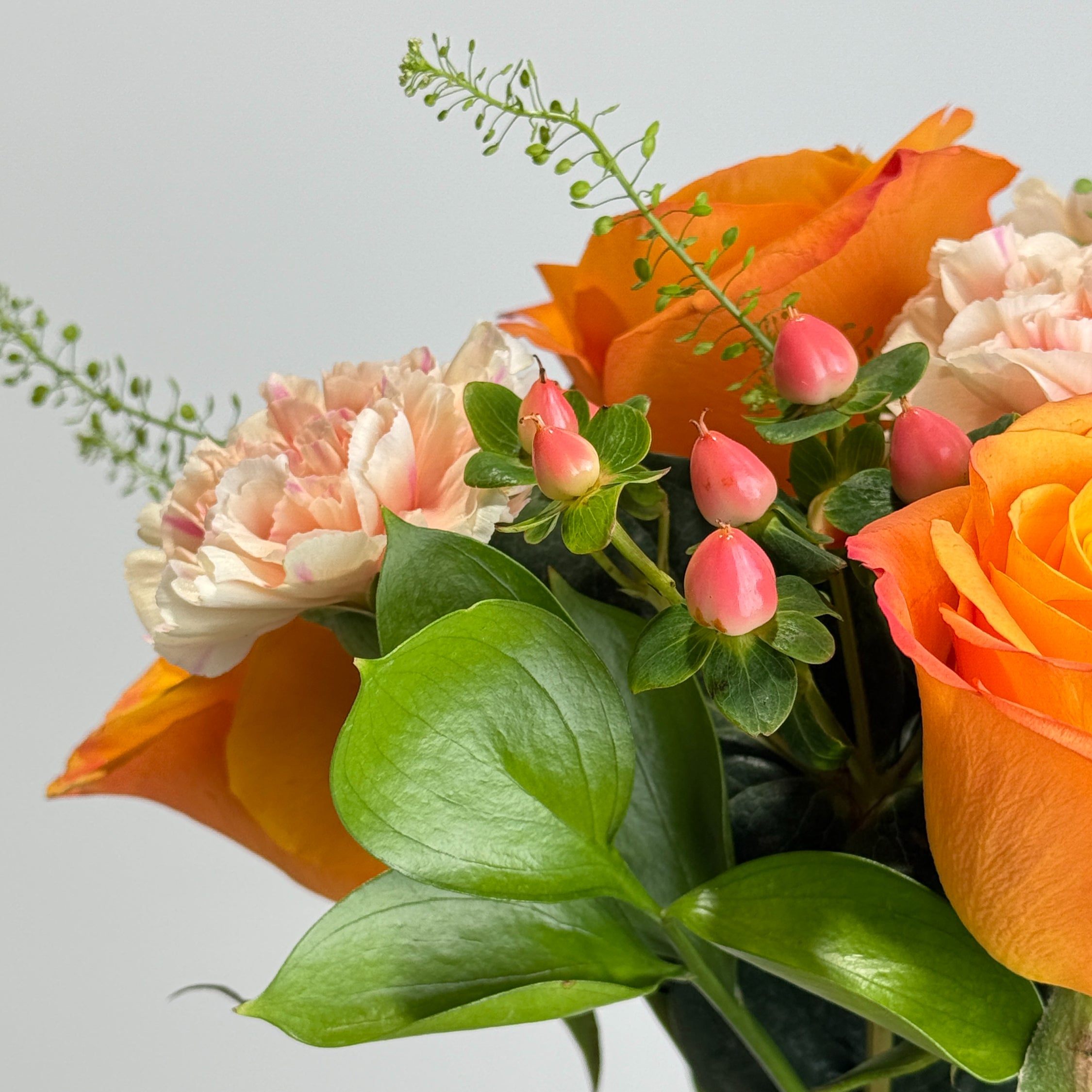 Peachline image 3 thumbnail