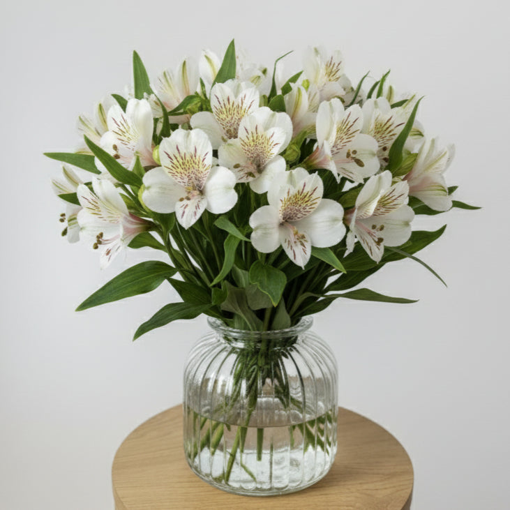 White Alstroemeria Bunch image 0