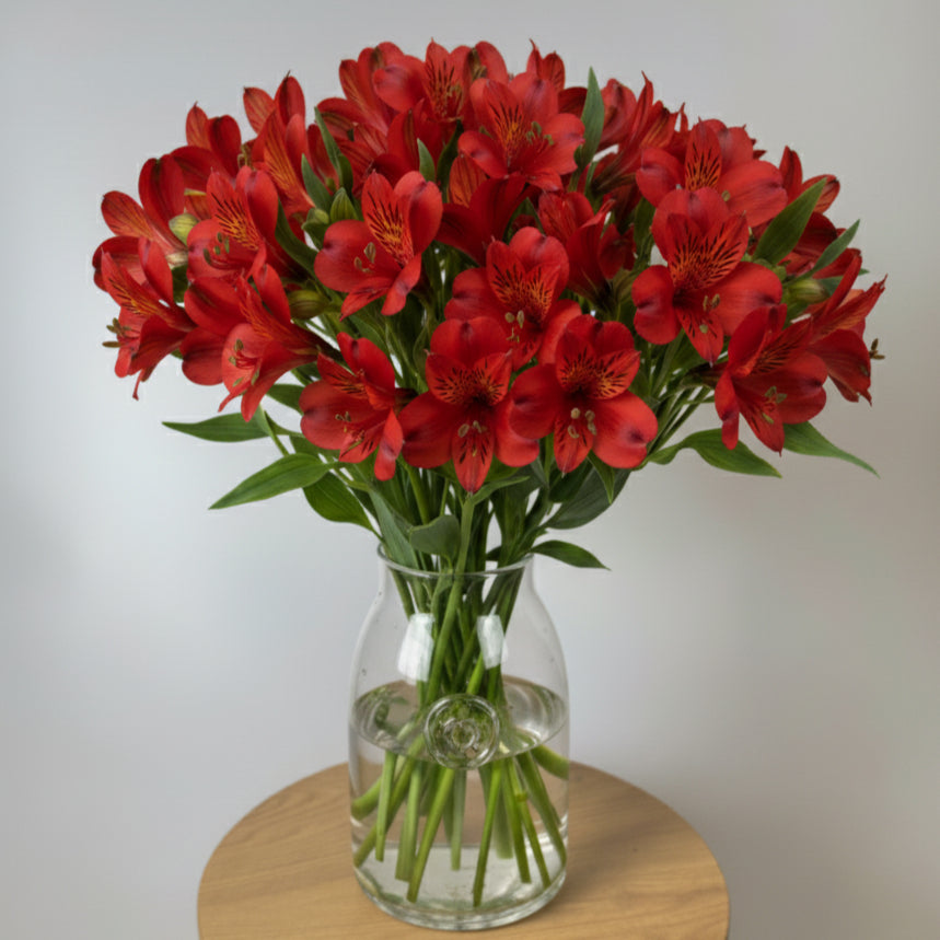 Red Alstroemeria Bunch image 0
