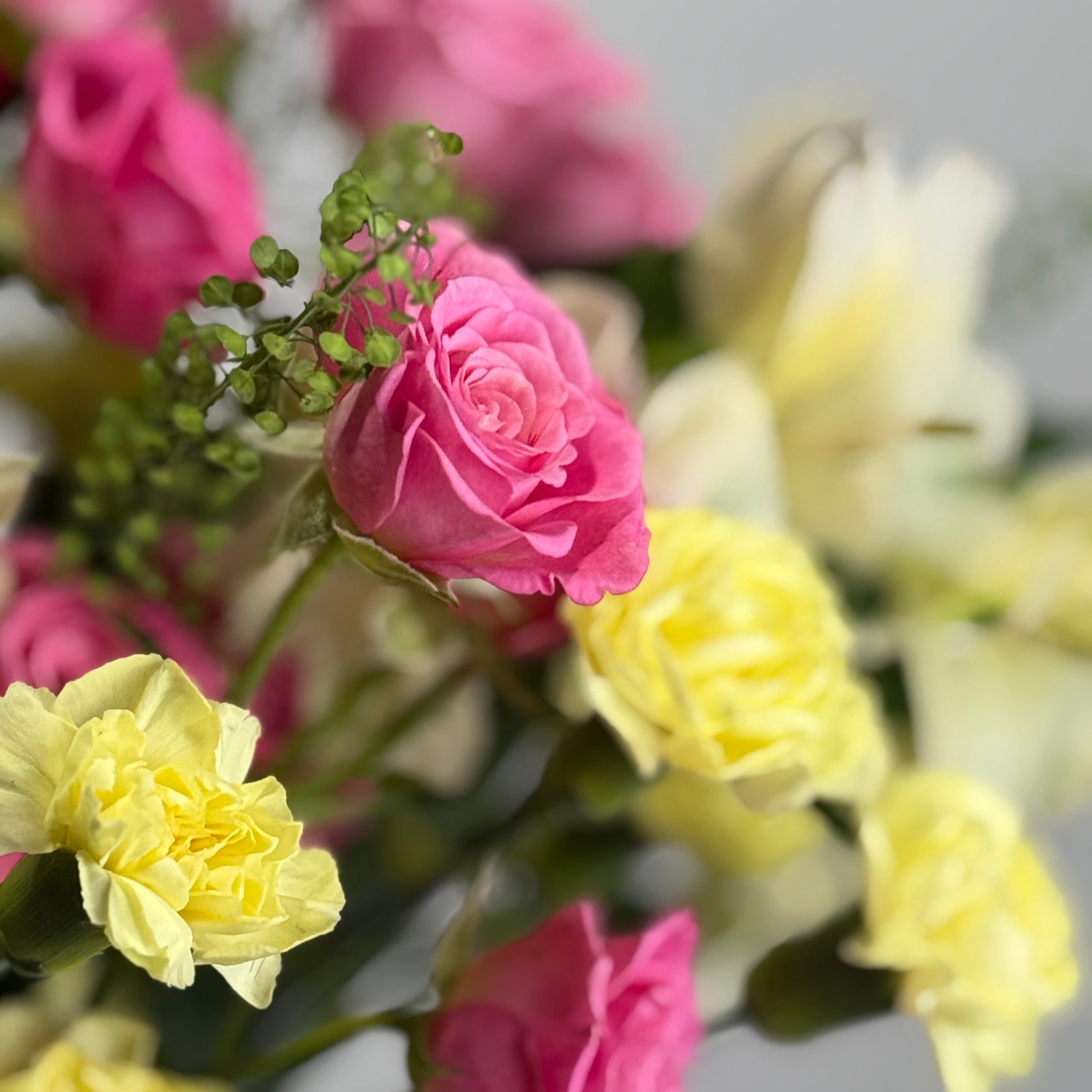 Pink Lemonade image 3