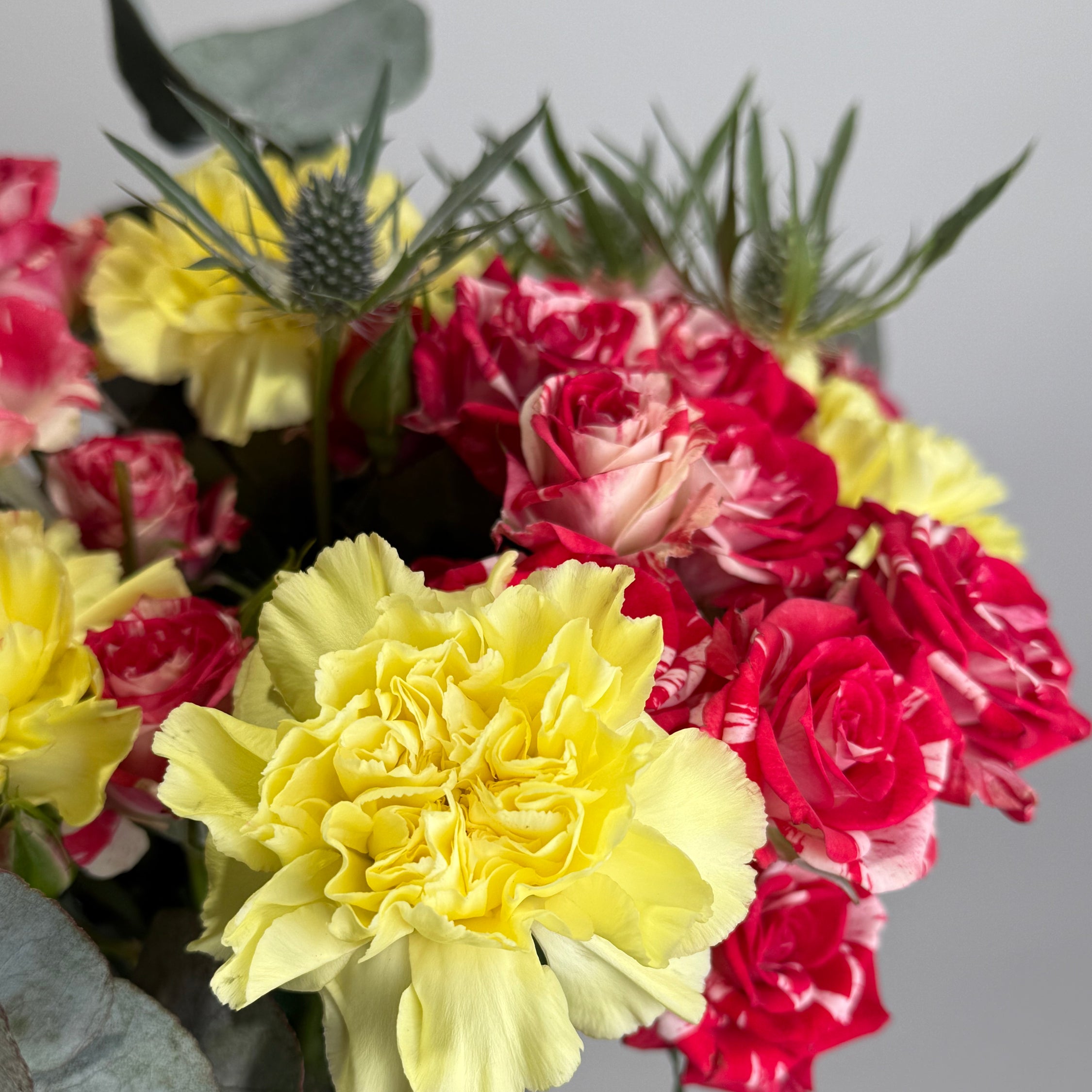 Fireworks image 3 thumbnail