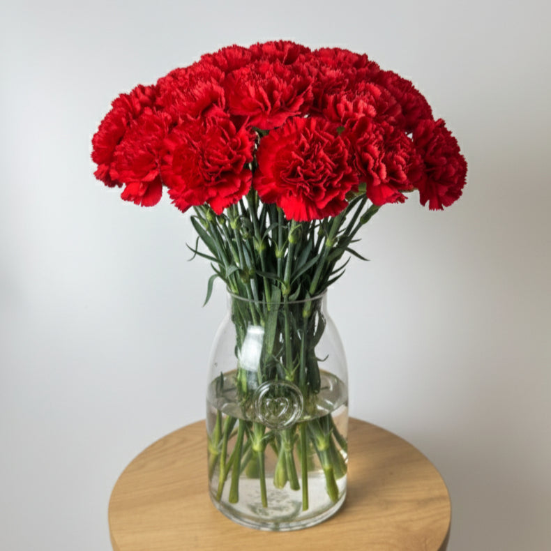 Red Carnation Bunch image 0