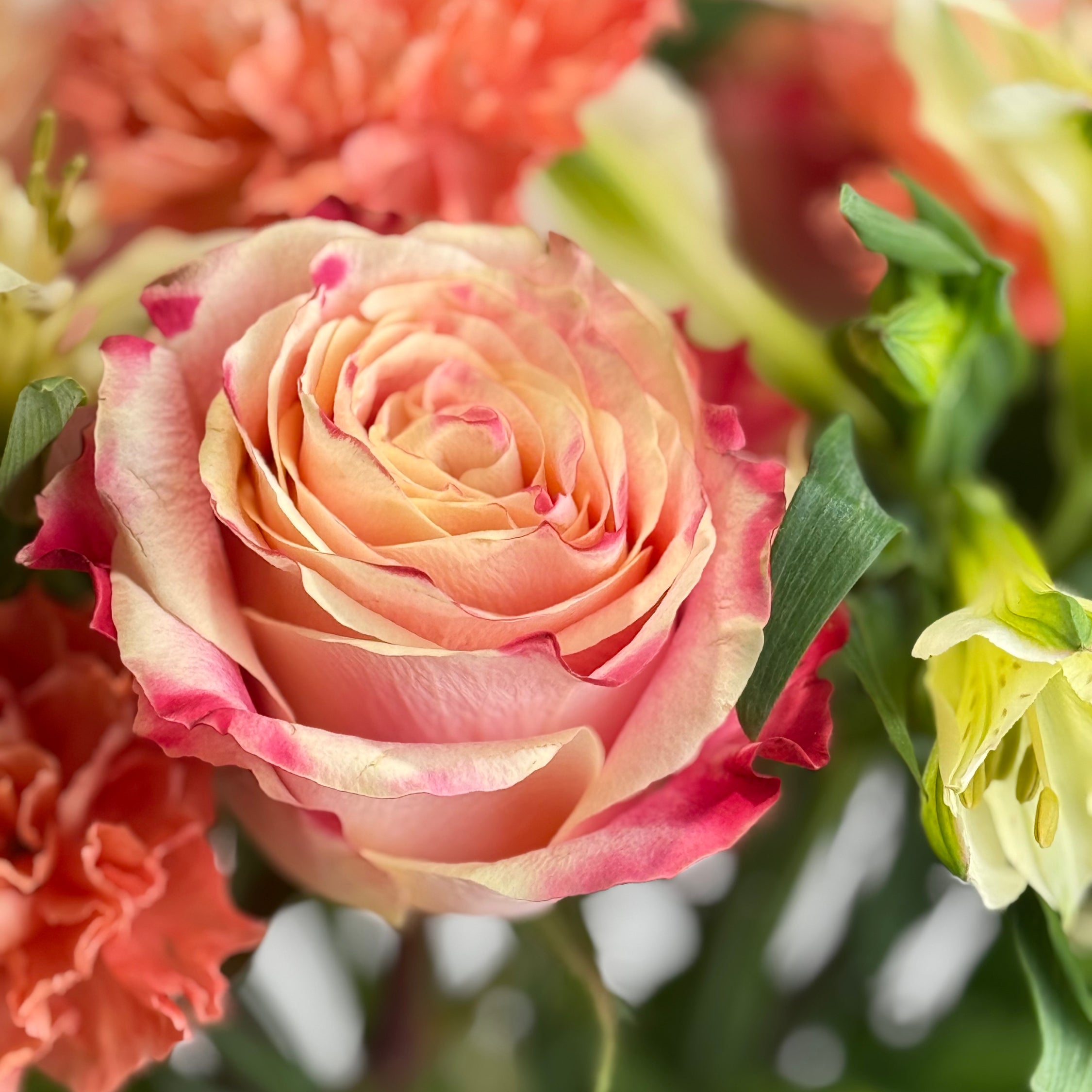 Tutti Frutti image 2 thumbnail