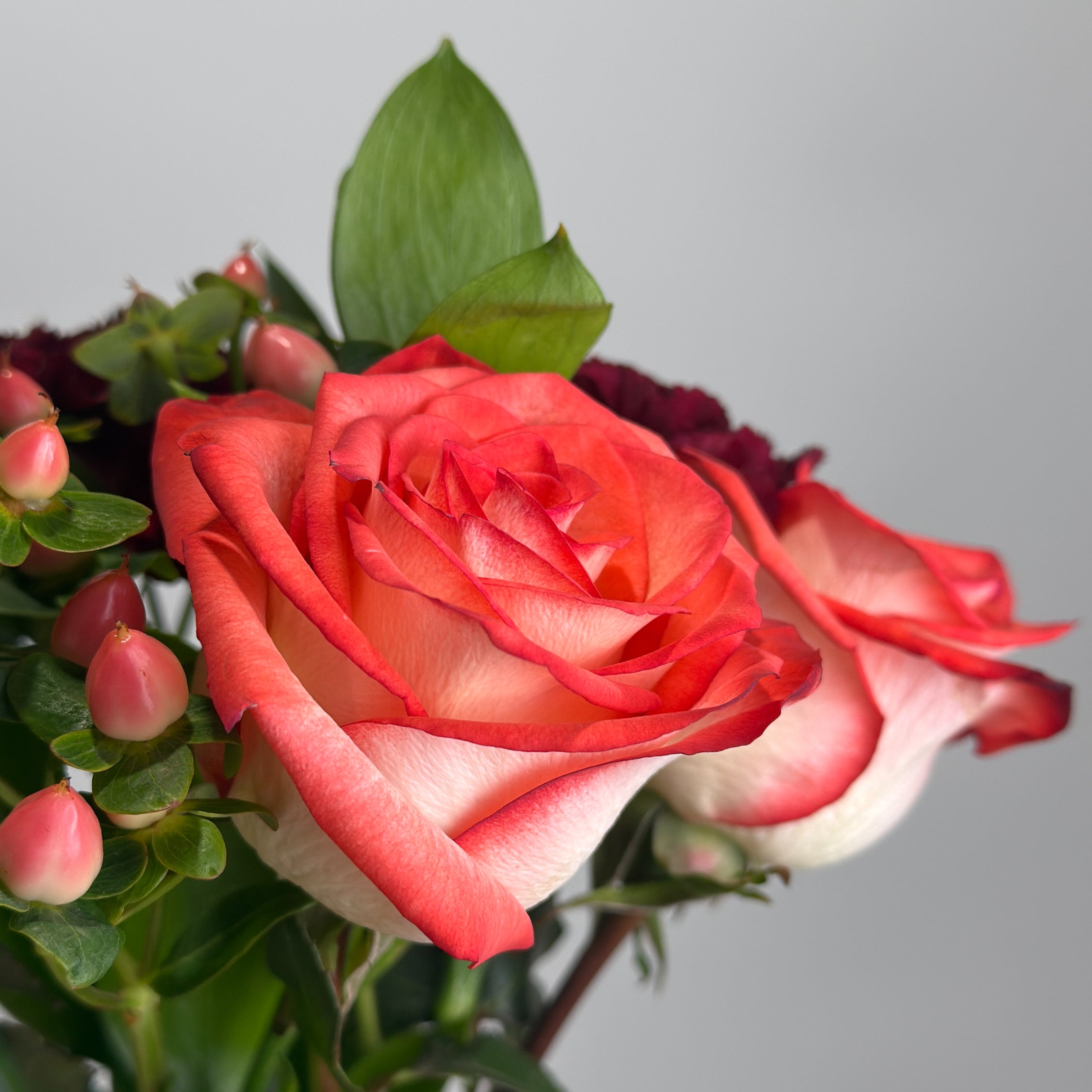 Crimson Muse image 2 thumbnail