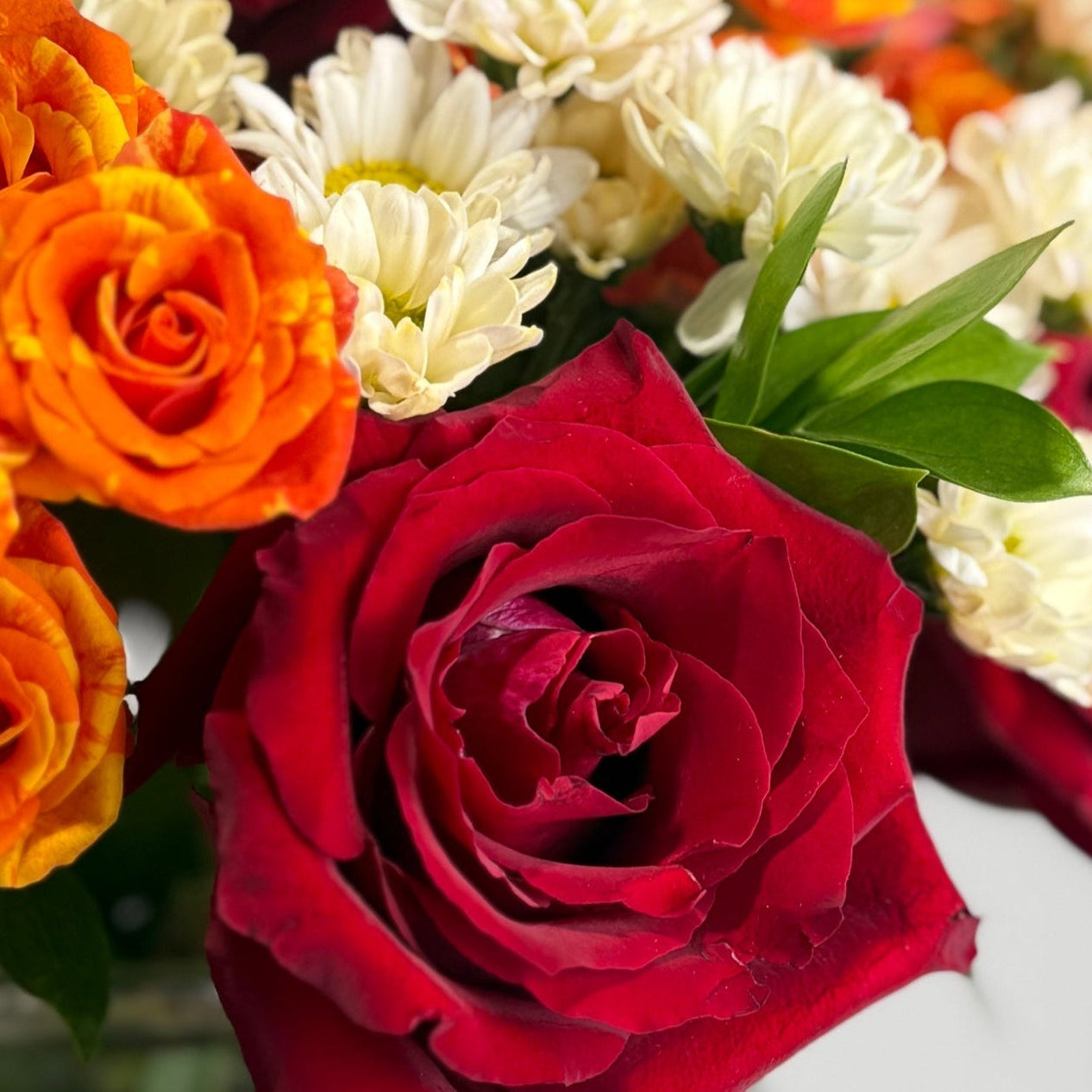 La Flame image 2 thumbnail