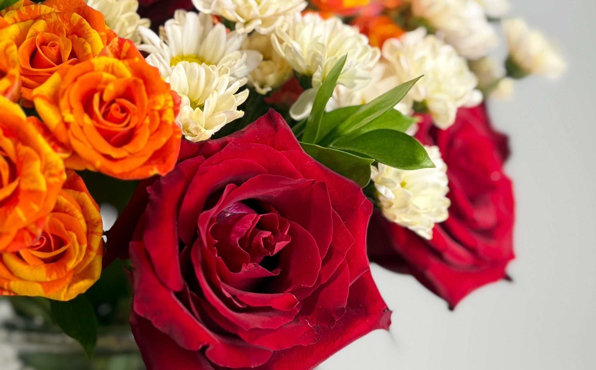 La Flame image 2 thumbnail