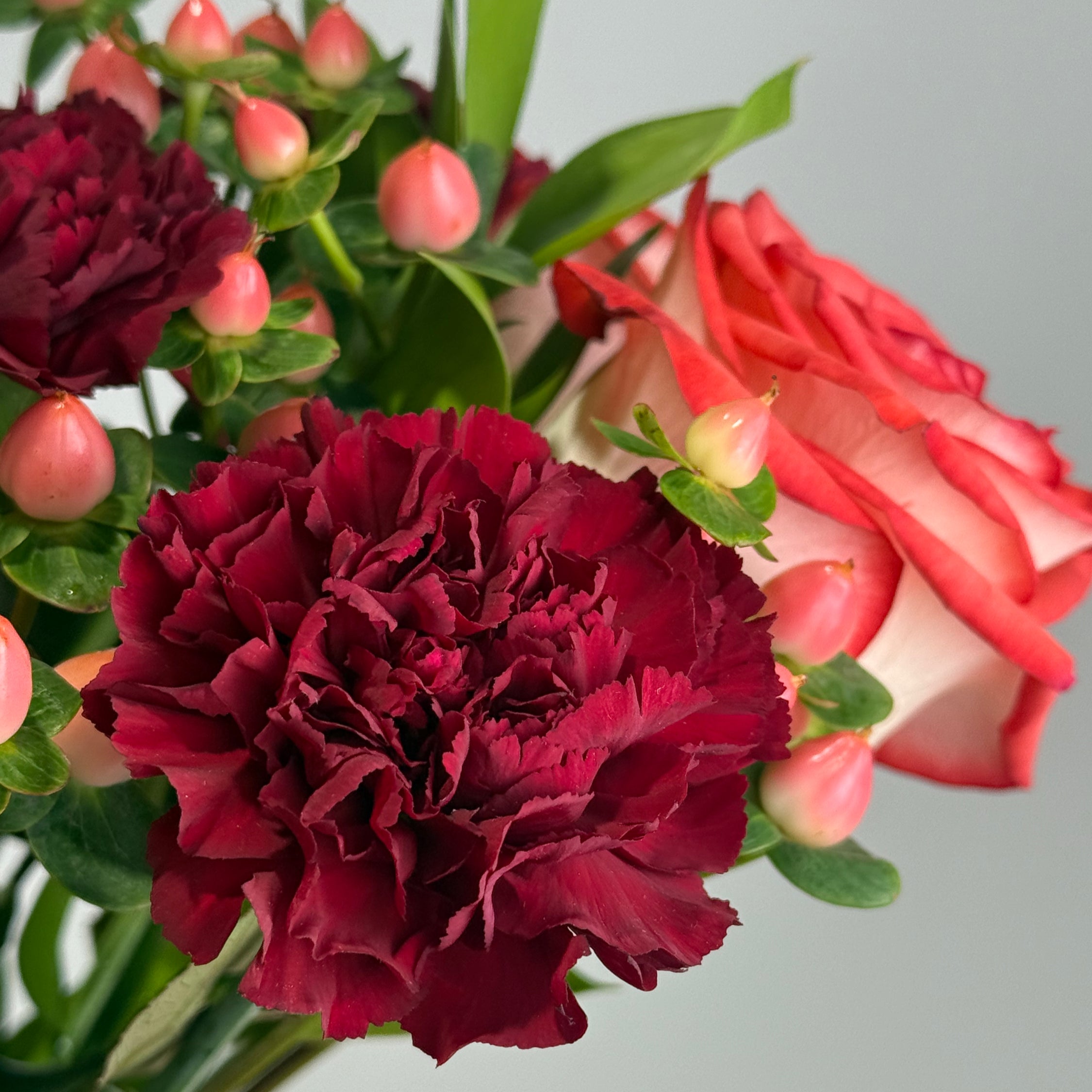 Crimson Muse image 1