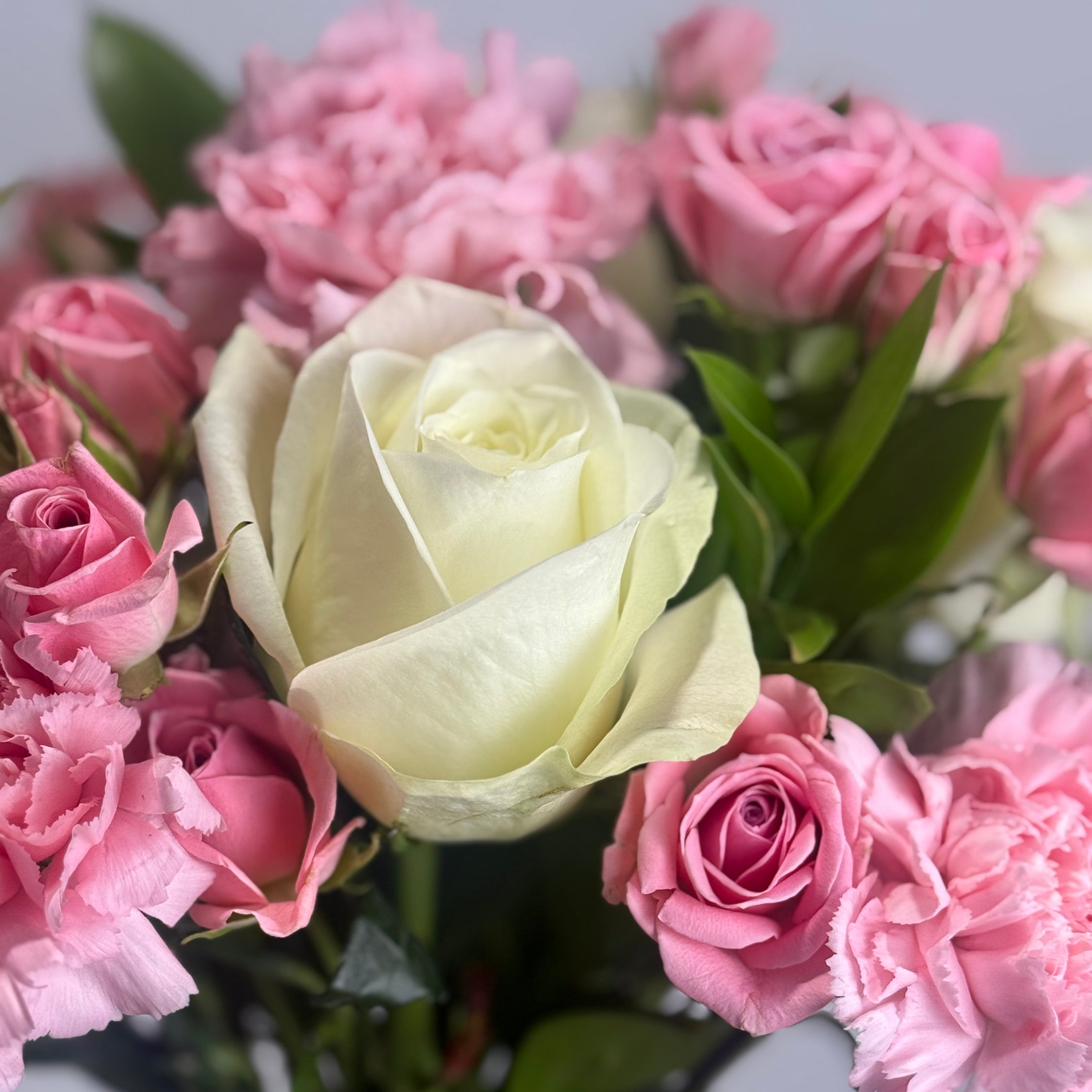 Rosé de Blush image 2