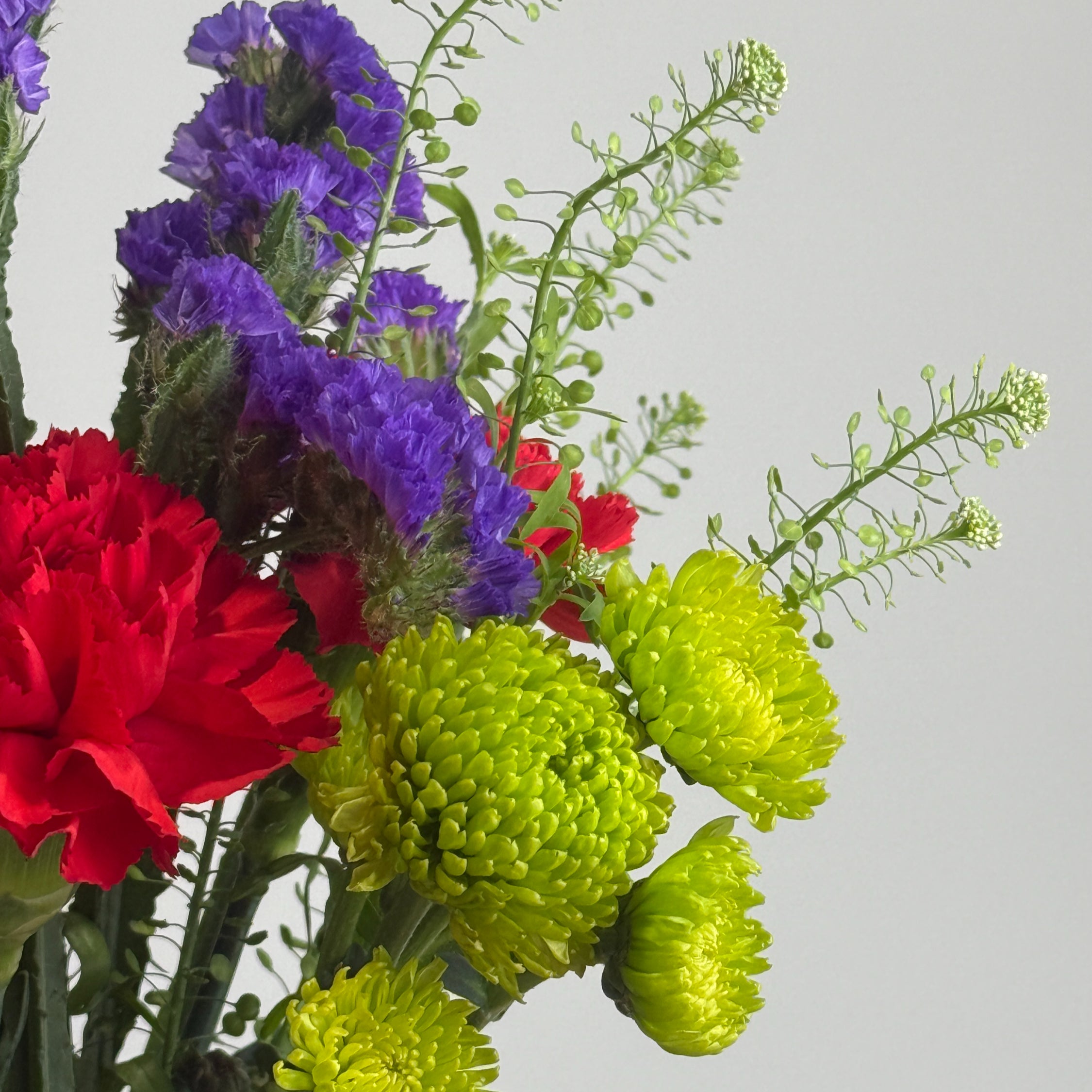 Colour Haus image 2 thumbnail