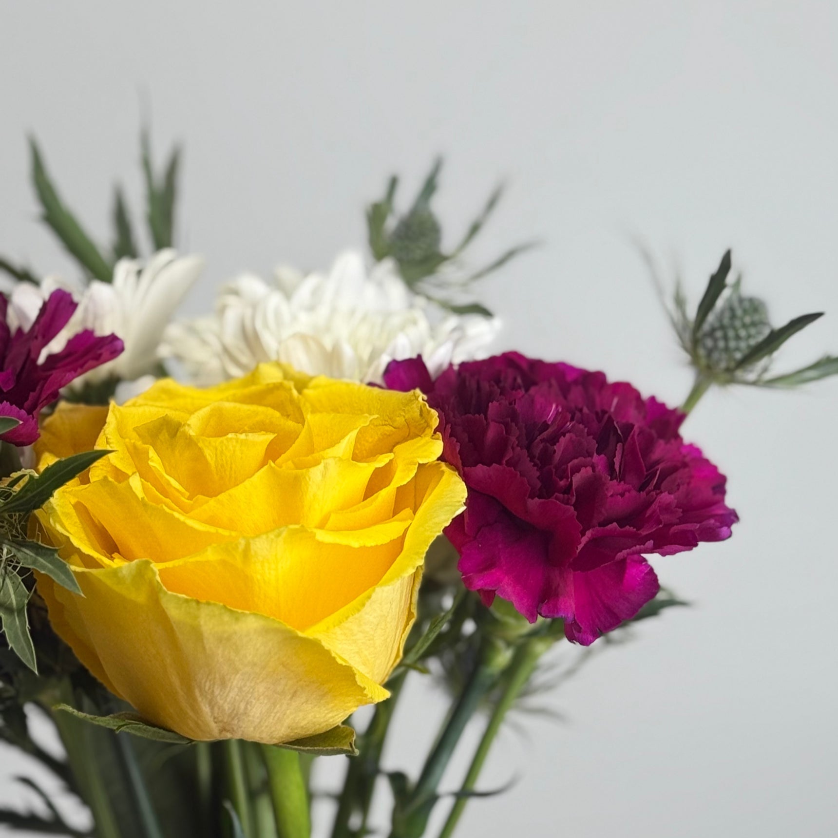 Juxtapose image 2 thumbnail