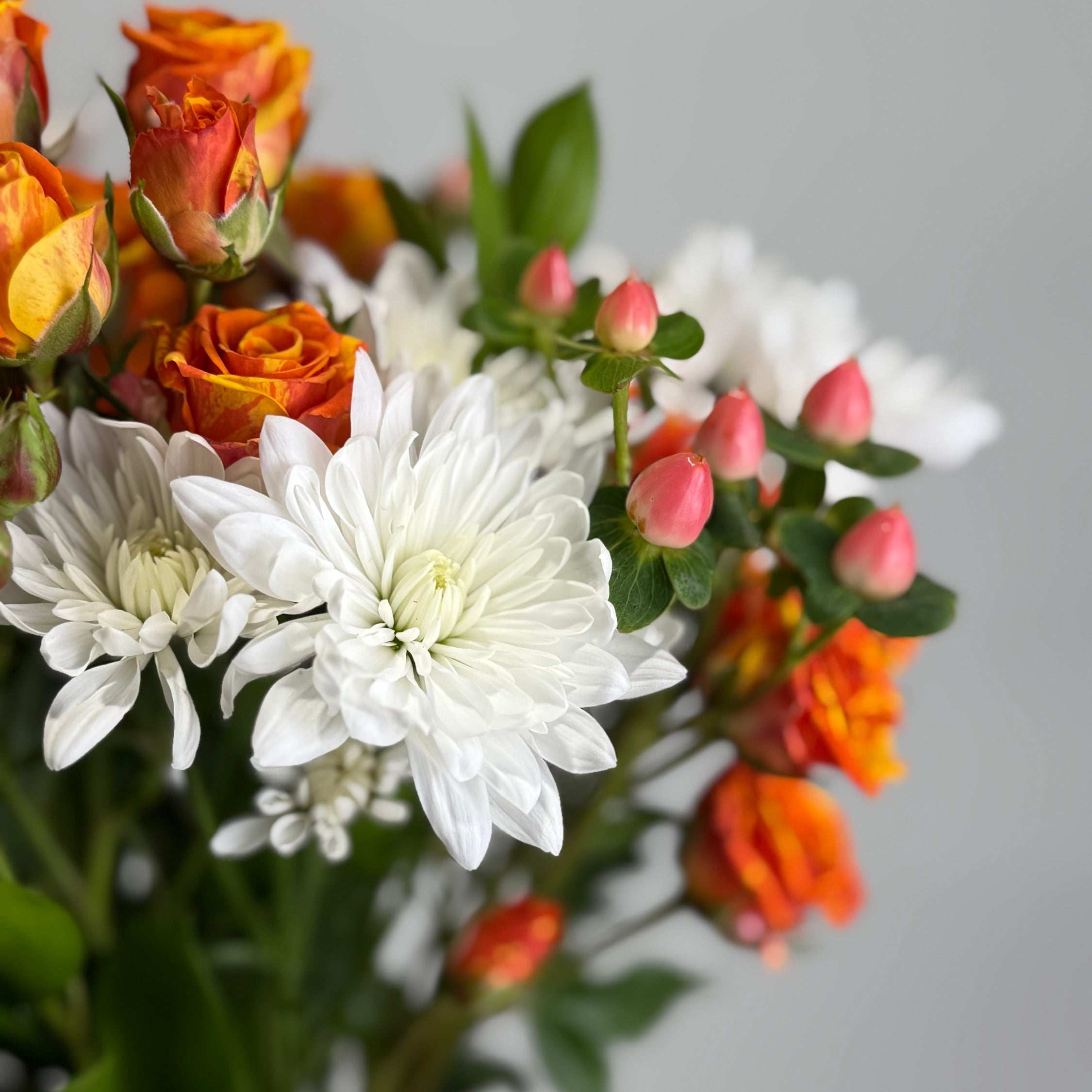 Alabaster &amp; Ember image 2 thumbnail