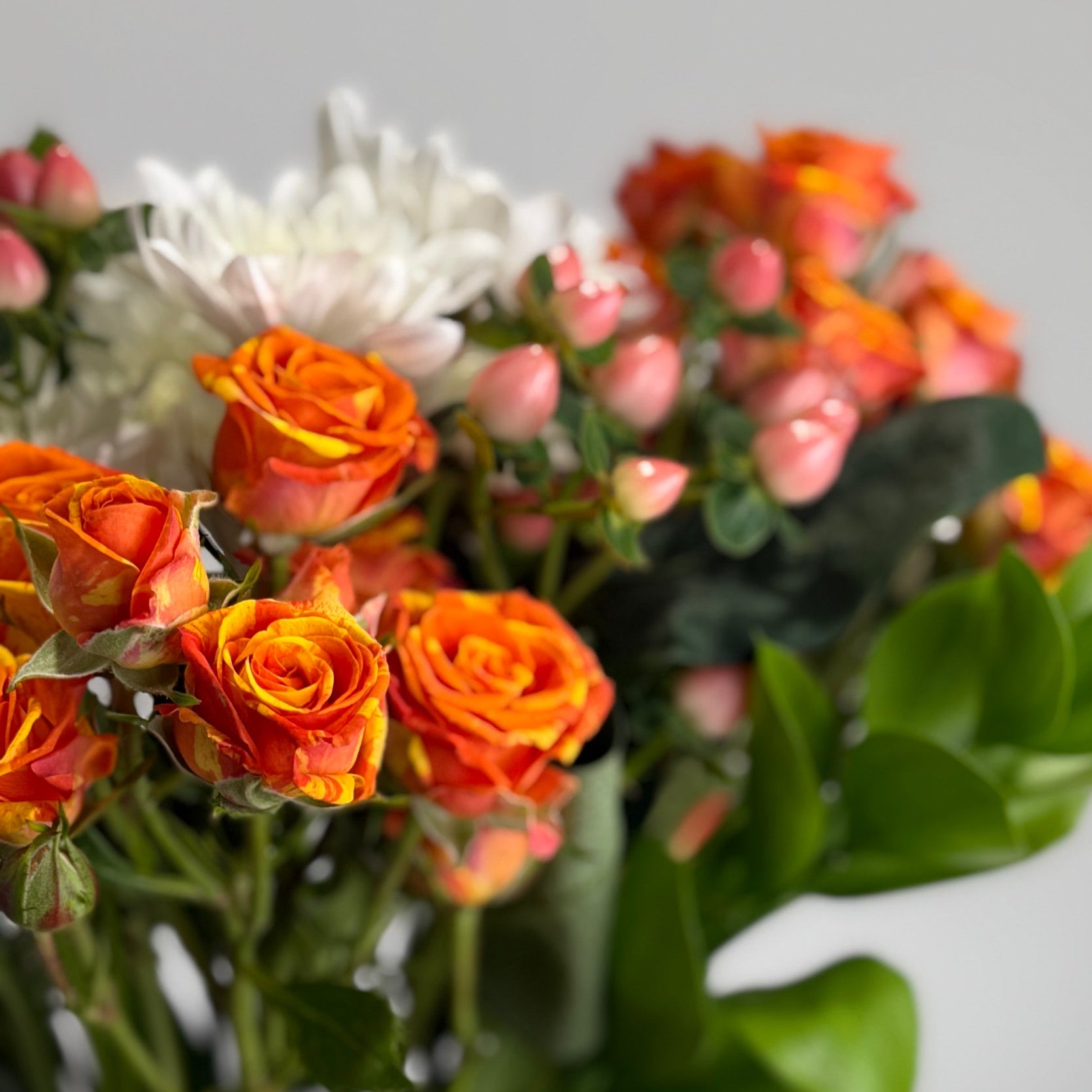 Alabaster &amp; Ember image 1