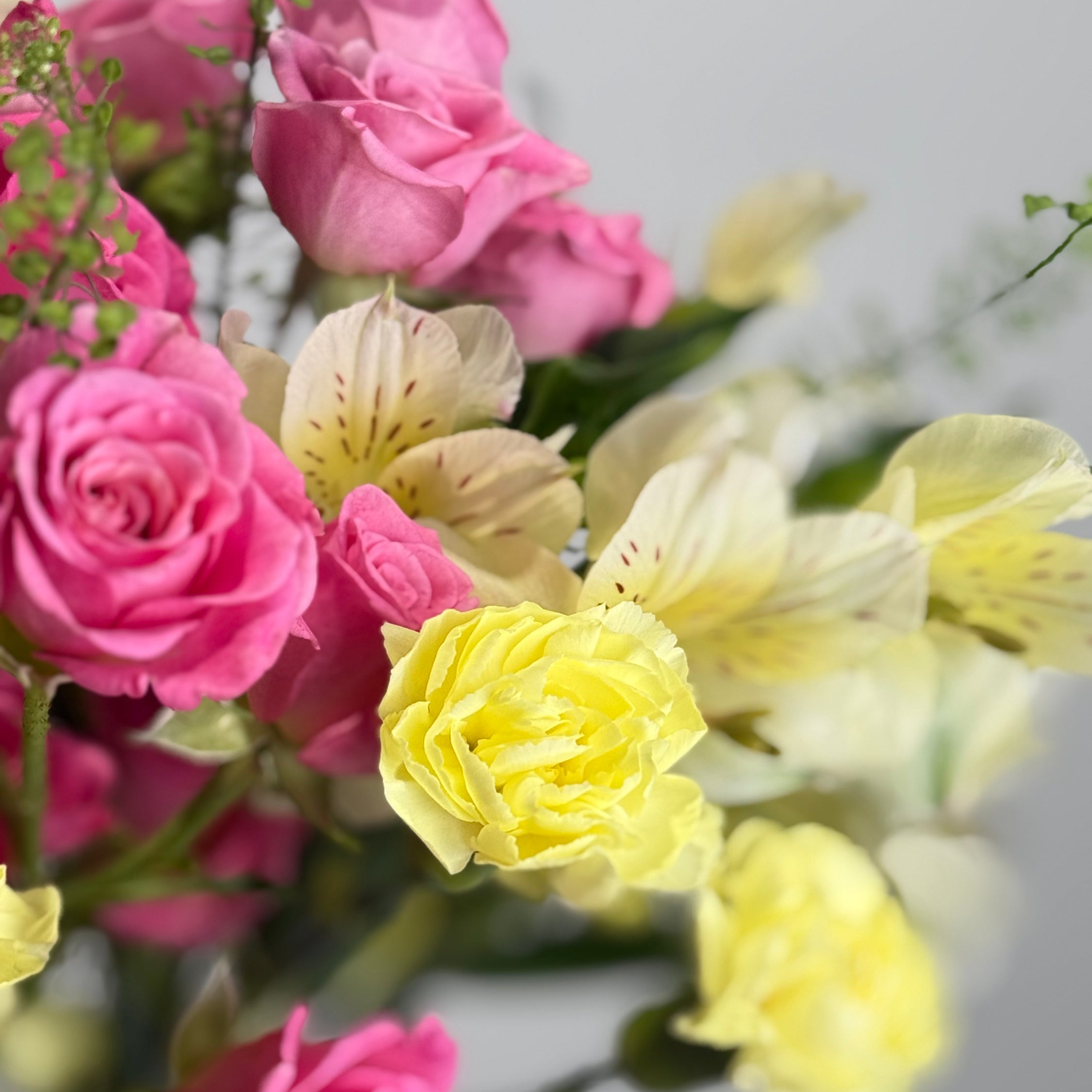 Pink Lemonade image 2 thumbnail