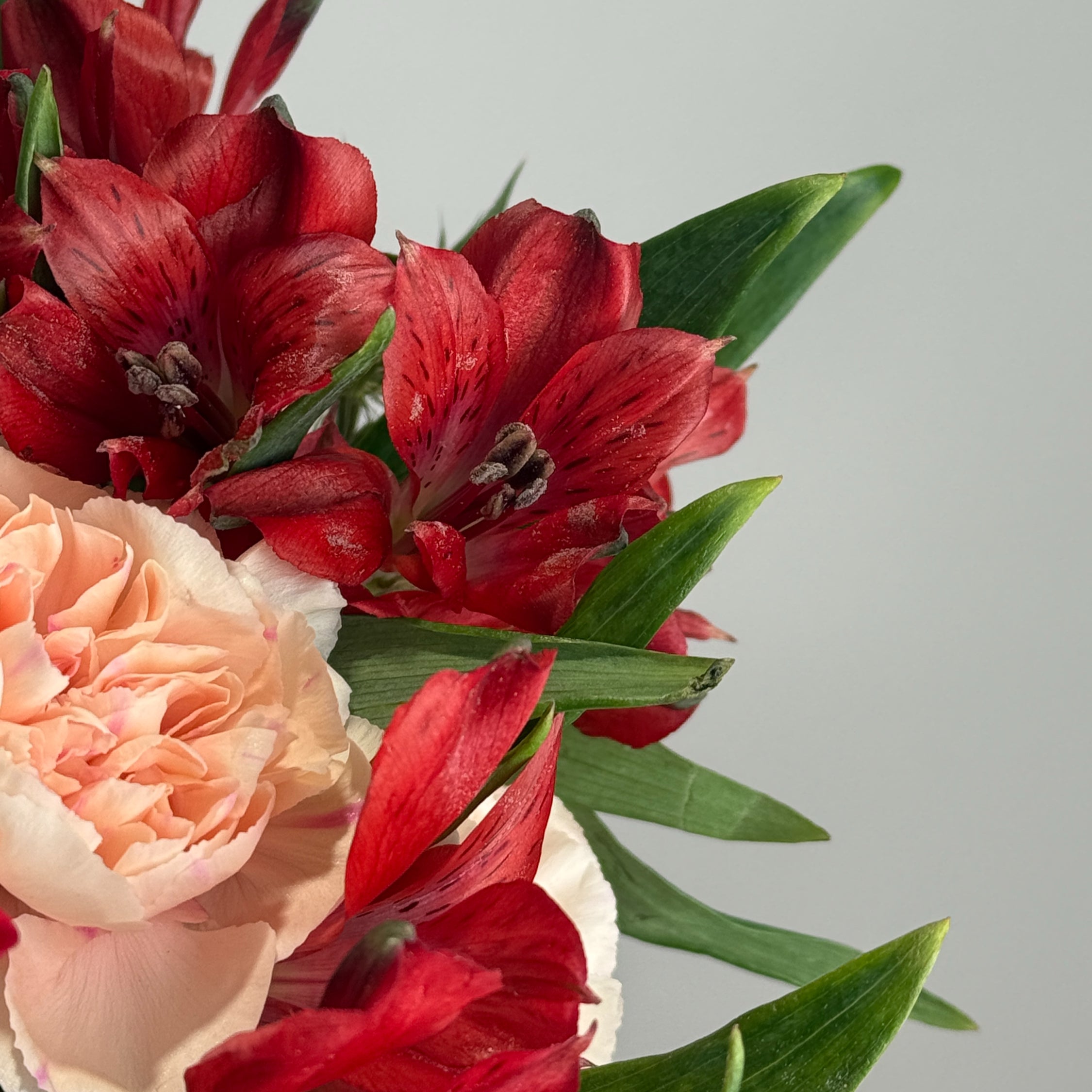 Rouge Rush image 3 thumbnail