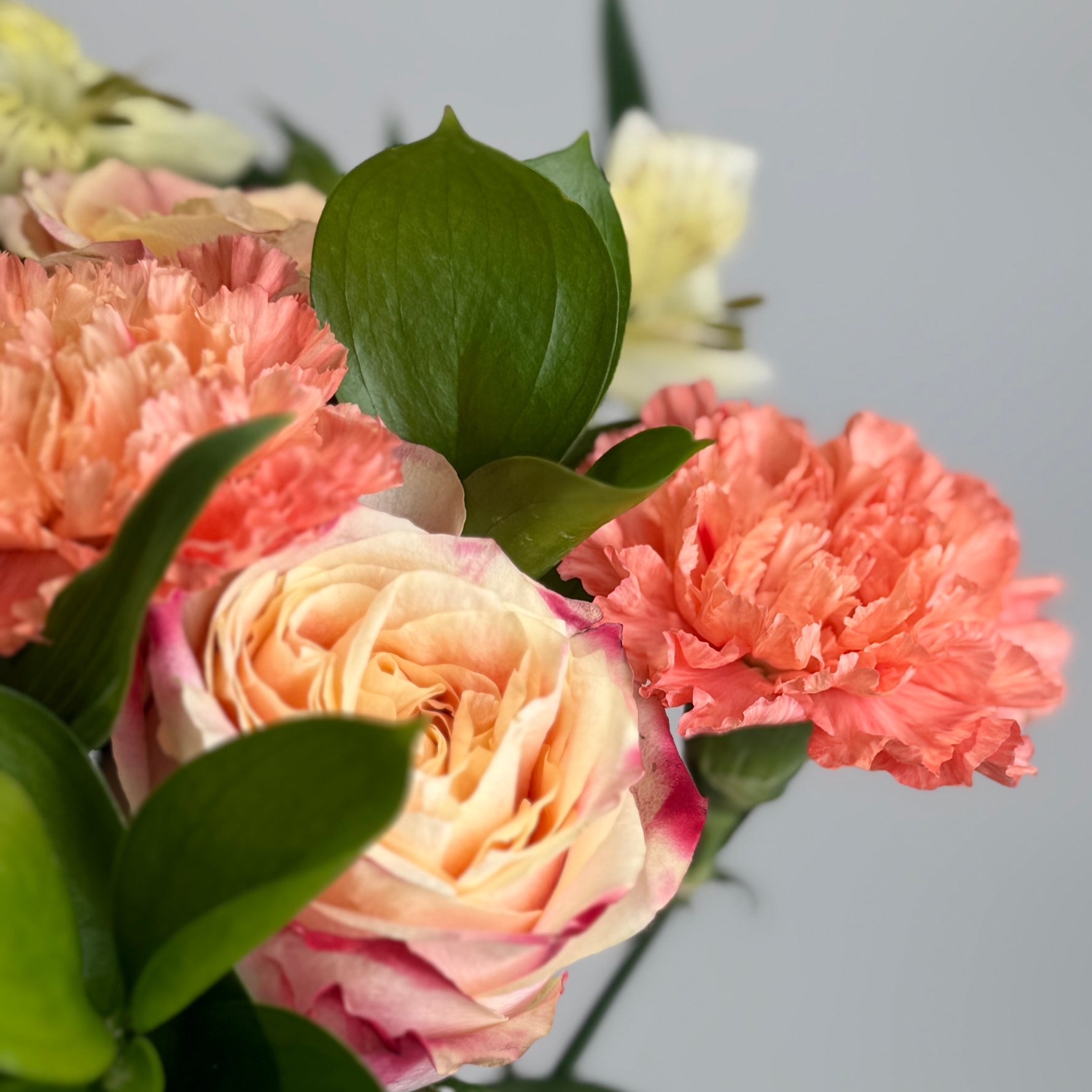 Tutti Frutti image 4 thumbnail