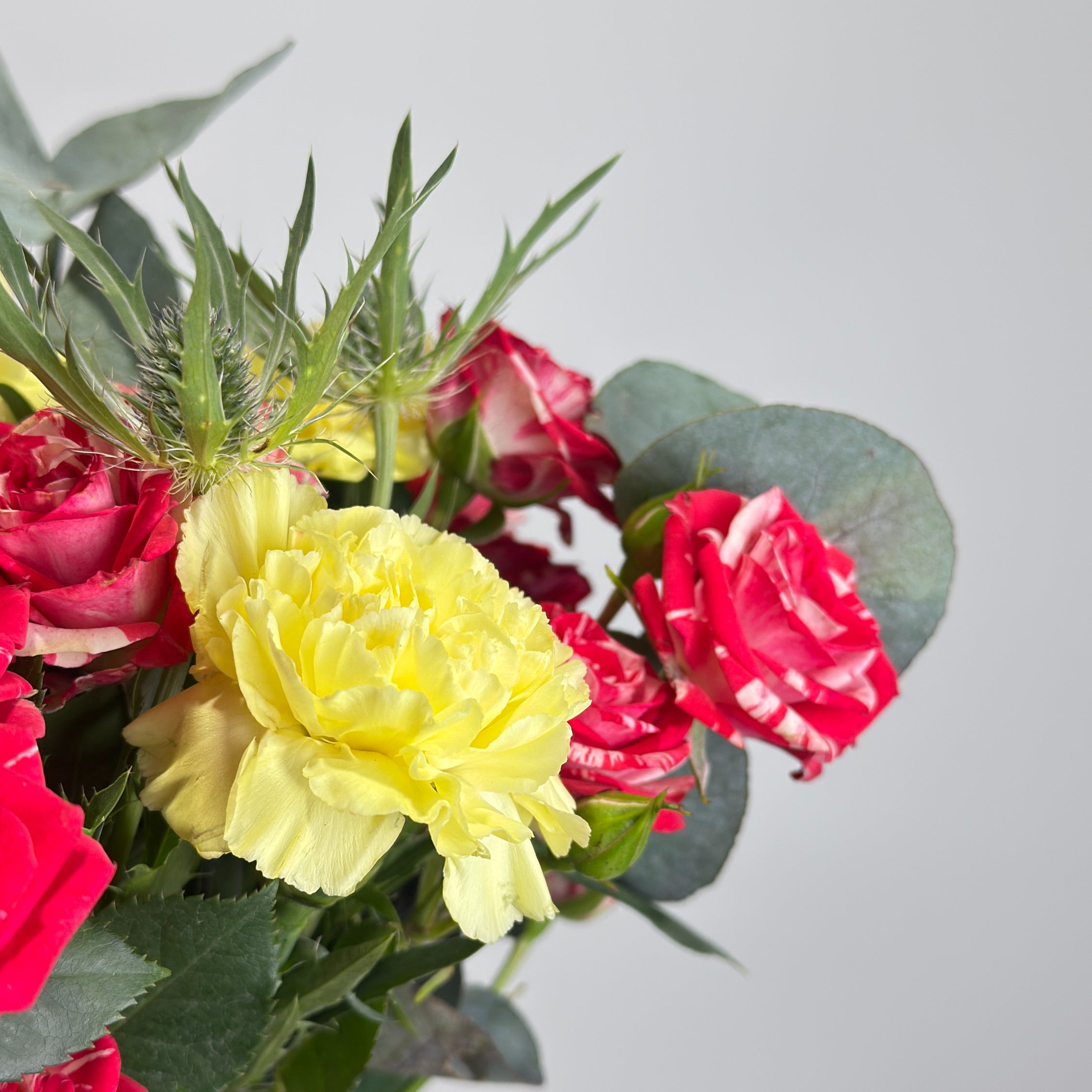 Fireworks image 2 thumbnail