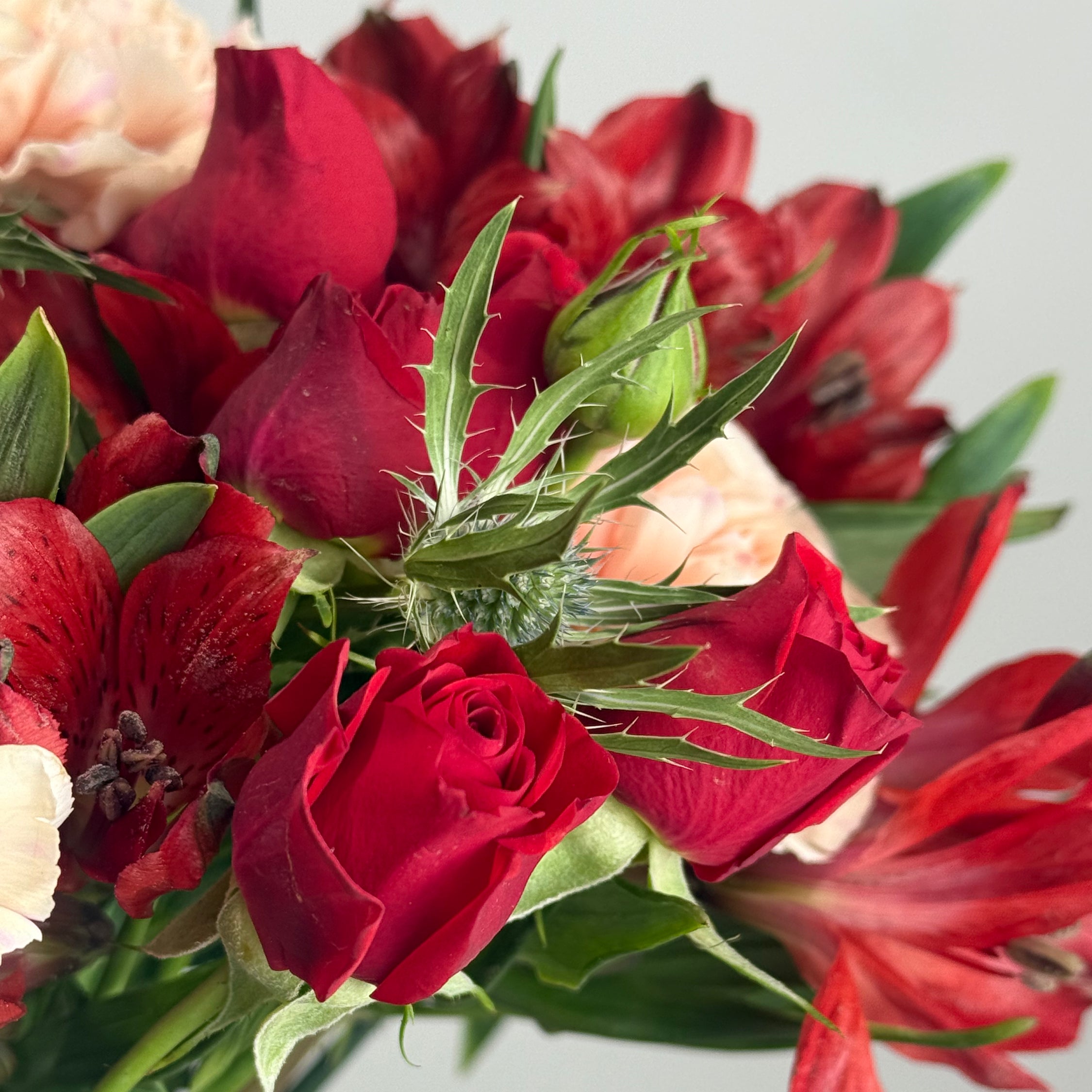 Rouge Rush image 2 thumbnail