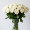 White Roses Bouquet