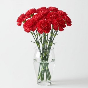 Carnation Red