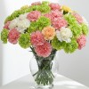 Carnation Mix