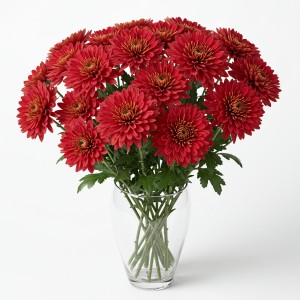 Chrysanthemum Spray Red
