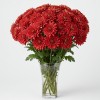 Chrysanthemum Spray Red