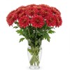 Chrysanthemum Spray Red