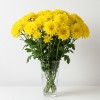 Chrysanthemum Spray Yellow