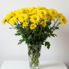 Chrysanthemum Spray Yellow