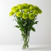 Chrysanthemum Spray Green